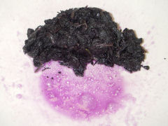 紫蘇の葉を塩もみ